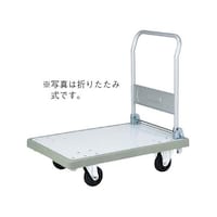 �򕌃v���X�`�b�N�H�Ɓ@�o���p�[�L�����[�i�n���h���Œ莮�j���@�O���[�@�U�R�R�R�R�O�O�@�P��