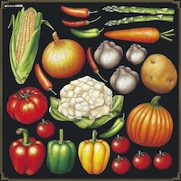 P・O・Pプロダクツ デコシール No.4896 1個