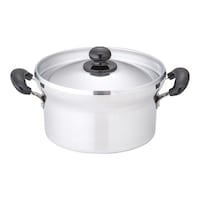 北陸アルミ アルミキャスト DX 文化鍋 22cm No.22