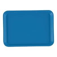 �b�`�l�a�q�n�@�J���g���[�i�e�q�o�j�@�z���C�]���u���[�@�T�V�@�P��