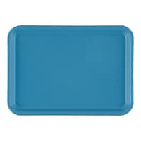 CAMBRO カムトレー(FRP) ロビンエッグブルー 57 1個