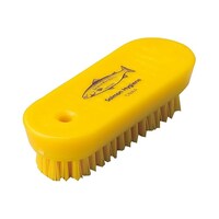 �q���u���V�@�T�[�����@���W���@�l�C���u���V�@���@�m�`�S