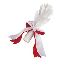 TKG ハム花 リボン付(6本入) 62664959 1ケース