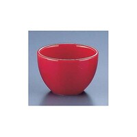 �G���Y�W���p���@�ی^�������@�ԁ@�c�P�Q�T�@�P��