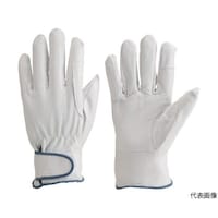 �A�Y�����@�����W���[�^��܁@���{�v���@�l�@�i�j�P�W�l