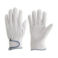 �A�Y�����@�����W���[�^��܁@���{�v���@�r�@�i�j�P�W�r