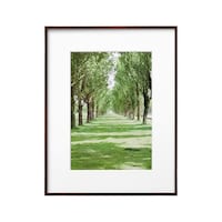 ハクバ ZEROフレーム G01 A4 ブラウン FZG01A4BR