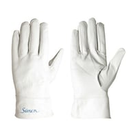 �V�����@���{�v��܁@�b�f�[�V�P�T�@�b�f�V�P�T�l