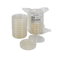 �A�L�����[�g�i�s�l�j�q�Q�`���V�|�n�@�P�O���@�@�T�P�O�T�P