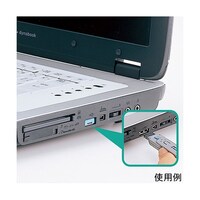 サンワサプライ USBコネクタ取付けセキュリティ SL46BL