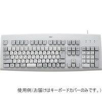 サンワサプライ キーボードカバーNECMATEUSB109キーボード用Tポリ FATNX15