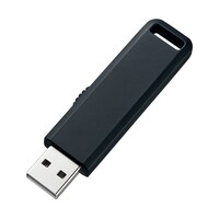 サンワサプライ USB2.0メモリ UFDSL2GBKN