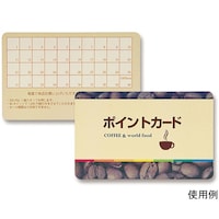 サンワサプライ レーザープリンタ用プラスチックカード LBPID01