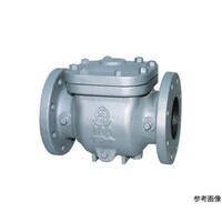 ベン T形ストレーナ