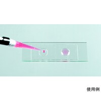 c@a@XChEF@[ODT@PiQTj@lhvdQOOO@lhvdQOOO@P