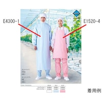 ワコウ パステックエプロン 首掛け