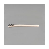 �A�Y�����@���t�u���V