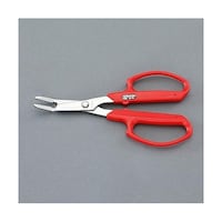 �A�Y�����@�G�������i�X�e�����X���j