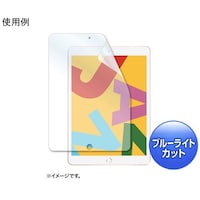 サンワサプライ 170.5x247.0mm 液晶保護フィルム(ipad用) EA764320