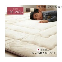 アズワン 国産固綿40mm使用 マイクロファイバー