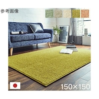 �A�Y�����@���{�R�ۏ��L�����I�[�_�[���O�J�[�y�b�g