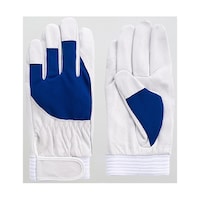 �x�m�O���[�u�@�ؖ{���܁@�A�X���[�g