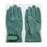 �x�m�O���[�u�@������I�C�����H�}�W�b�N�t��܁@�I�C���R