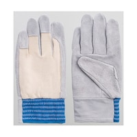 �x�m�O���[�u�@������b�������X���