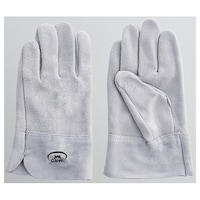 �x�m�O���[�u�@��������D��܁@�t�W�}�[�N