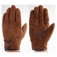 �x�m�O���[�u�@������}�W�b�N�t�@�u���E�����