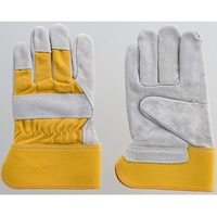 �x�m�O���[�u�@������J���[�b���z