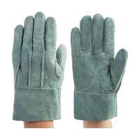 �x�m�O���[�u�@������w�D��܁@�O���[��