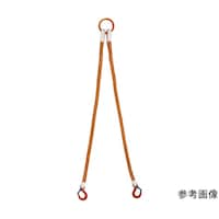 ��m����H�Ɓ@�Q�{�݁@�C���J���t�e�B���O�X�����O�i�h�r