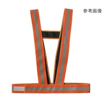 �~�Y�P�C�@�h�����H�^�X�L�^���S�x�X�g