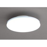 アイリスオーヤマ 小型シーリングライト 薄形 2000lm 昼光色 SCL20DUU 1個