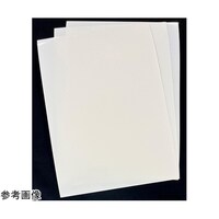 三菱ケミカル 難燃性ポリエステル系フィルム ダイアラミーR ナチュラル色 340μm厚 1袋(3枚入)FR02A Na #340