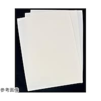 三菱ケミカル 難燃性ポリエステル系フィルム ダイアラミーR ナチュラル色 400μm厚 1袋(3枚入)FR02A Na #400