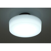 アイリスオーヤマ LED小型シーリング 1600lm 昼光色 SCL16DMCHL 1個