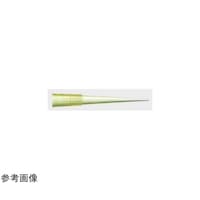 �T�[���T�C�G���e�B�t�B�b�N�@���{�`�b�v�@�C�G���[�@�P�O�O�O�`�b�v�~�P�܁@�X�S�R�O�O�P�Q�O�@�X�S�R�O�O�P�Q�O�@�P��