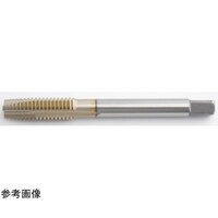 不二越 SGポイントT(OS)M6X1 REG+2 SGPO6M1R+2 SGPO6M1R+2 1本