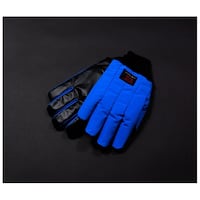 �A�C�V�X�@�N���C�I�O���[�u�i�q�j�O���b�v���S�h���u���[���X�g�^�C�v�@�k�@�S���R�P�����@�s�r�b�f�v�q�k�v�o�@�P�o