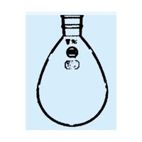 日本理化学器械 ナス形フラスコ