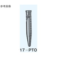 ���{�����w��B�@���S��