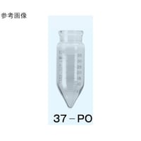 ���{�����w��B�@���S��