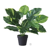 アズワン グリーンポット(フェイクグリーン)ポトス 61655681 61655681 1個