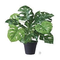 アズワン グリーンポット(フェイクグリーン)モンステラ 61655682 61655682 1個