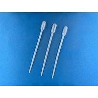 �O���[�o���T�C�G���X�@�X�|�C�g�P���k