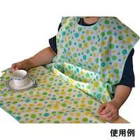 At@fBJ@HpGv@ʕ@koiO[j