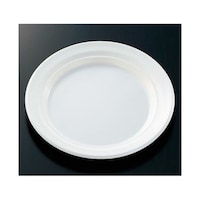 中央化学 惣菜容器 CT沙楽 M23 W 身 50枚入 213249 213249 1袋