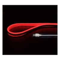 JTT USBネオンチューブライト(1m、レッド) NEONLT1MRD NEONLT1MRD 1個